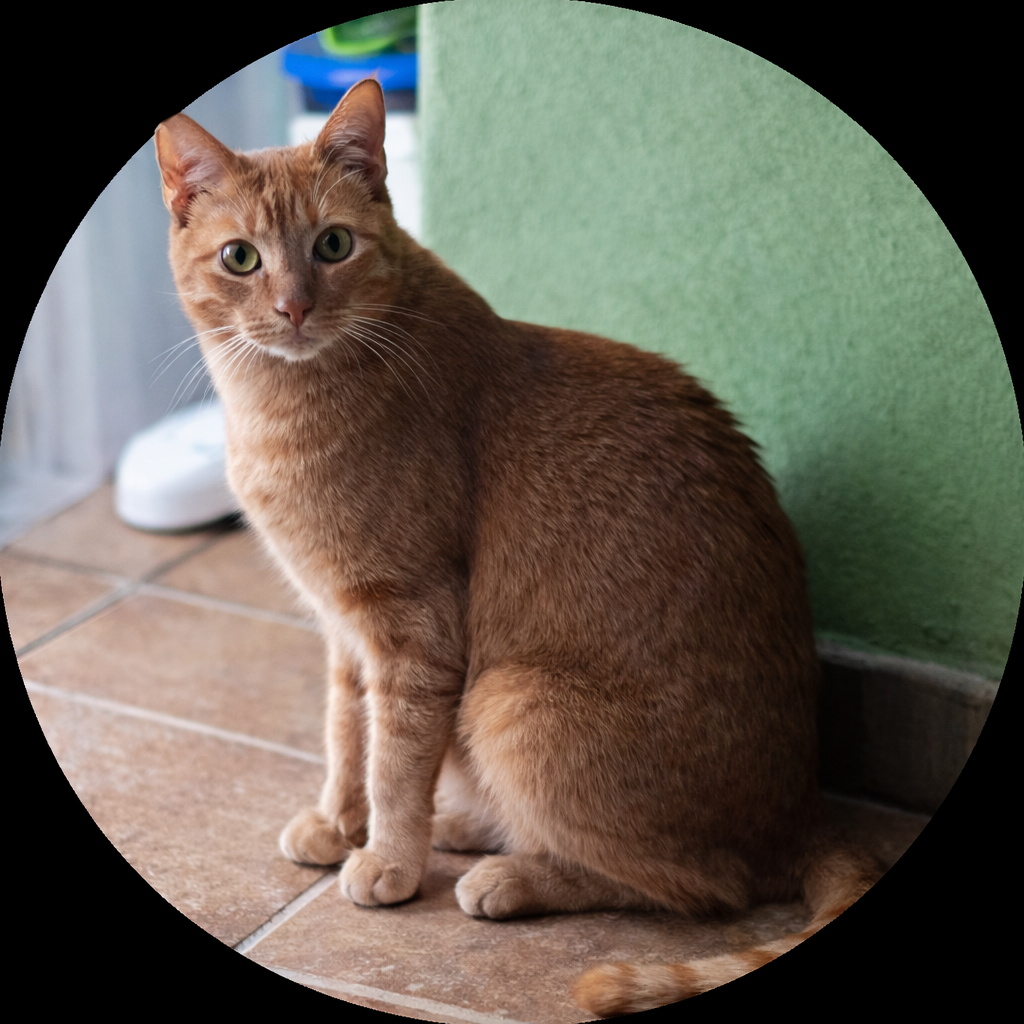  Marcia Aguila da Silva